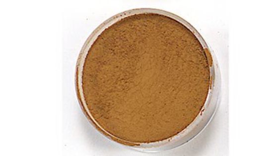 Picture of Pigment Terra di Sienne Natural