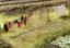 Picture of Clothes Line