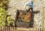 Picture of Compost Case