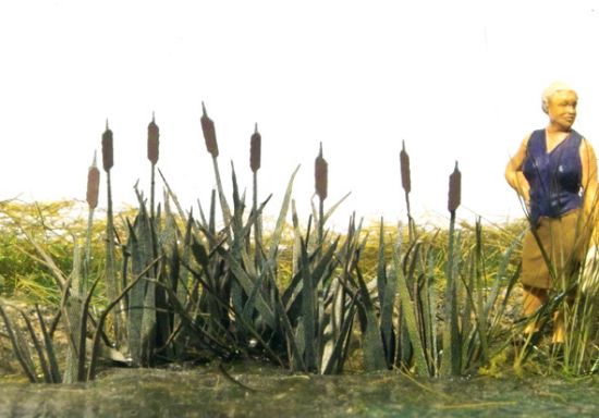 Picture of Cattails