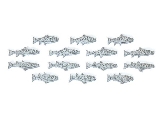 Picture of 14 Fish for MBZ Water