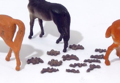 Picture of Horse Droppings (12 piles)