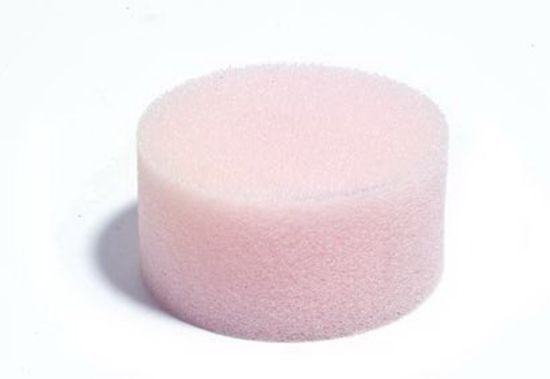 Picture of Round Sponge