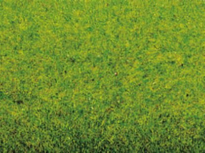 Picture of Grass Mat Spring Meadow
