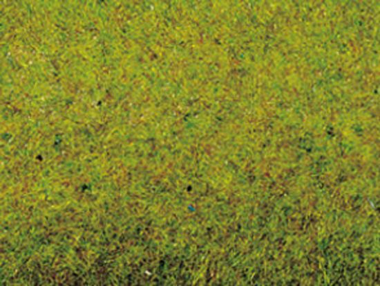 Picture of Grass Mat Summer Meadow