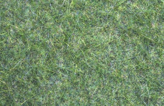 Picture of Meadow Mat, dark green, 12 mm