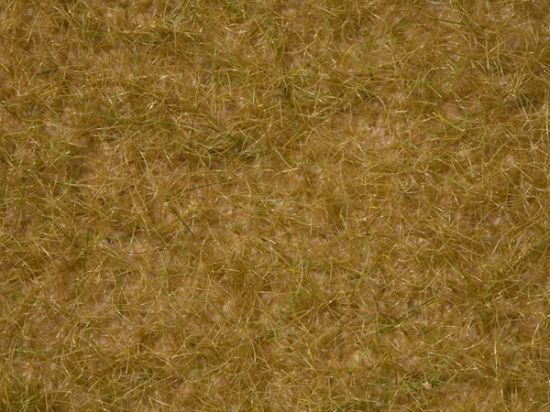 Picture of Wild Grass XL