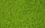 Picture of Wild Grass