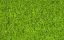 Picture of Wild Grass, bright green, 6 mm