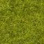 Picture of Wild Grass XL Meadow