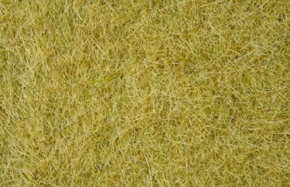 Picture of Wild Grass XL