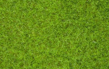 Picture of Wild Grass XL