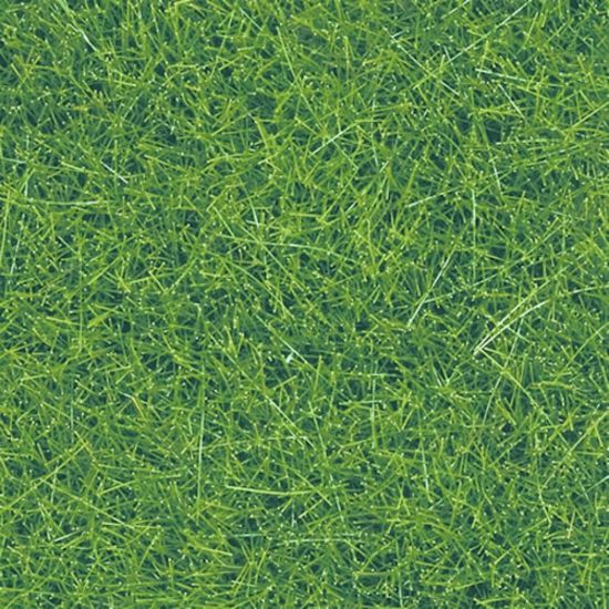 Picture of Wild Grass XL