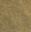 Picture of Wild Grass