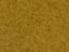 Picture of Wild Grass XL