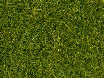 Picture of Wild Grass XL