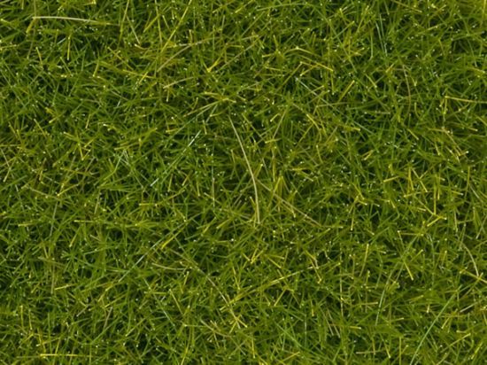 Picture of Wild Grass XL