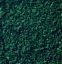 Picture of Leaves