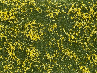 Picture of Foliage, Grouncover yellow Flowers