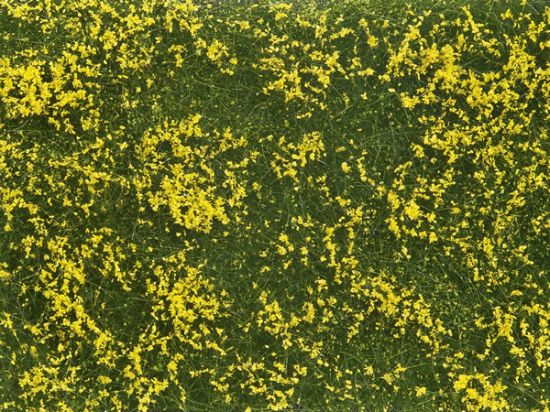 Picture of Foliage, Grouncover yellow Flowers