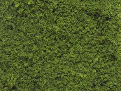 Picture of Foliage, medium green