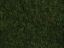 Picture of Meadow Foliage