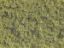 Picture of Classic Flock, light green