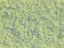 Picture of Classic Flock, light green