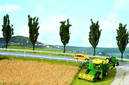 Picture of Natur+ Cornfield