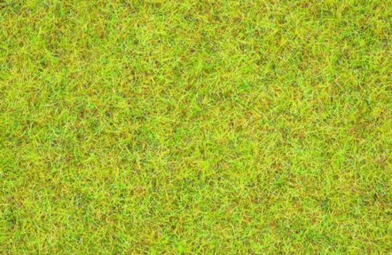 Picture of Scatter Grass Summer Meadow