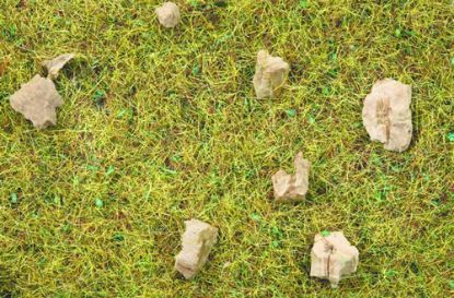 Picture of Scatter Grass Alpine Meadow, 2,5 mm