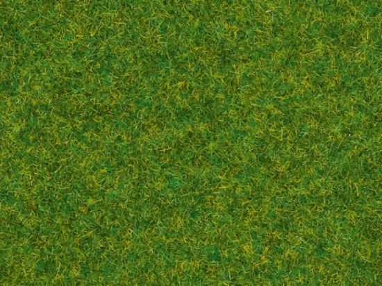 Picture of Scatter Grass Ornamental Lawn