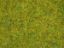 Picture of Scatter Grass Summer Meadow