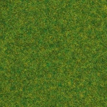 Picture of Scatter Grass Ornamental Lawn