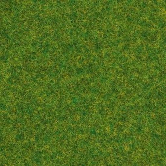 Picture of Scatter Grass Ornamental Lawn