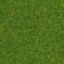 Picture of Scatter Grass Ornamental Lawn