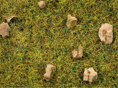 Picture of Scatter Grass Alpine Meadow