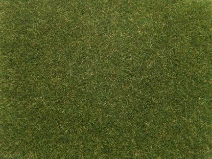 Picture of Scatter Grass Medium green, 4mm