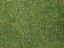 Picture of Scatter Material Flower Meadow