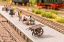 Picture of Platform Trolley