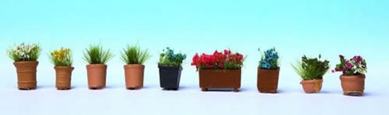 Picture of Flowers in Pots