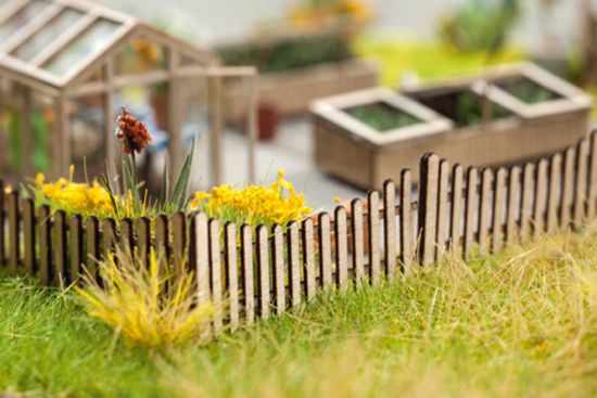 Picture of Timber Fence