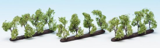Picture of Plantation Trees