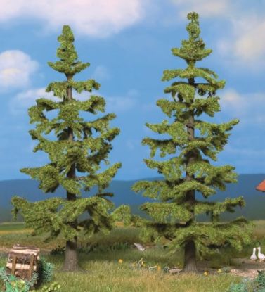 Picture of Spruce Trees, 2 pcs., 13 cm and 14,5 cm