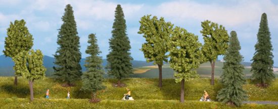 Picture of Mixed Forest, 10 trees, 10 - 14 cm high
