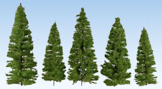 Picture of Spruces, medium green, 7 pieces, 7 , 14 cm high
