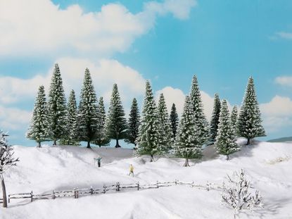 Picture of Snowy Fir Trees