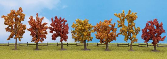 Picture of Autumn Trees
