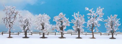 Picture of Winter Trees