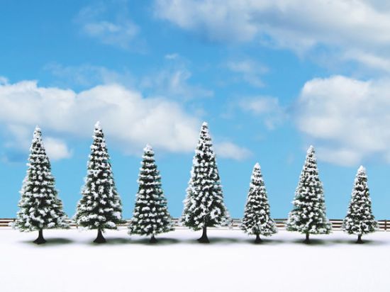 Picture of Snowy Fir Trees